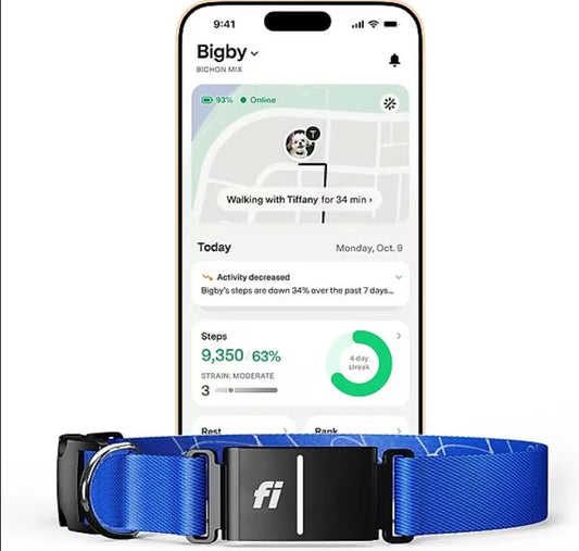 Collar GPS para perros y gatos