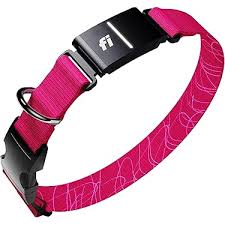 Collar GPS para perros y gatos