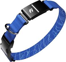 Collar GPS para perros y gatos