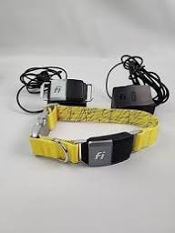 Collar GPS para perros y gatos